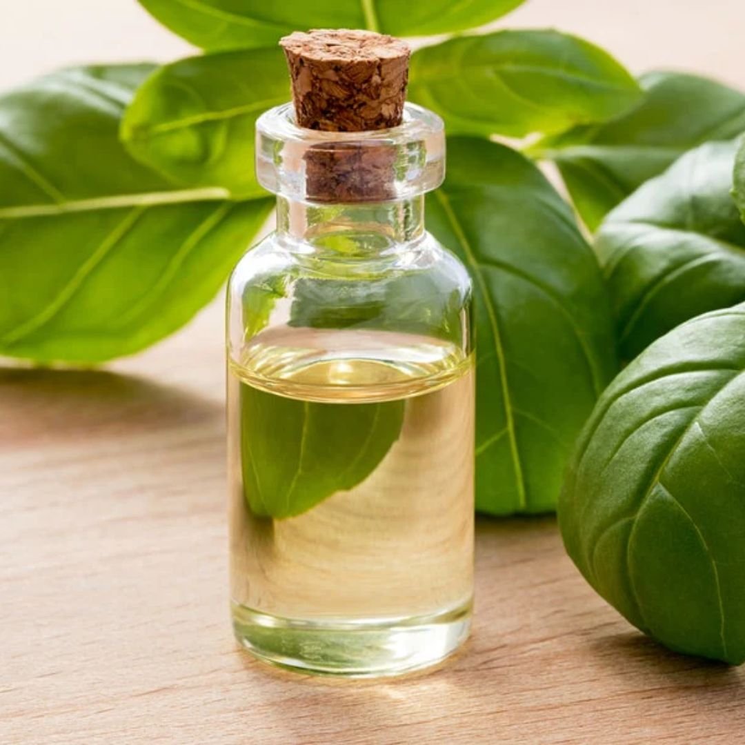 Basil Oil